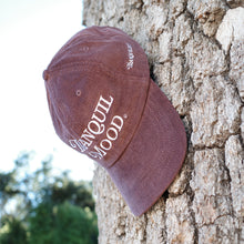 Load image into Gallery viewer, TM Vibe Corduroy Cap - Brown
