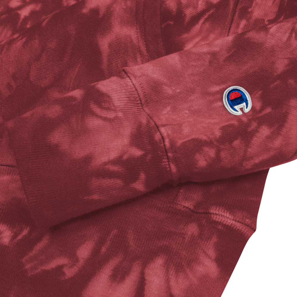 Mulled berry champion sales hoodie