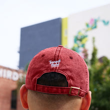 Load image into Gallery viewer, TM Vintage Washed Dad