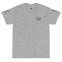 Load image into Gallery viewer, Tranquil Mood Roundabout Tee - Grey